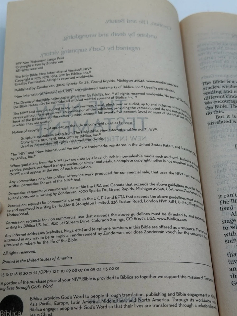 New International Version New Testament Holy Bible Large Print (2011, Paperback)